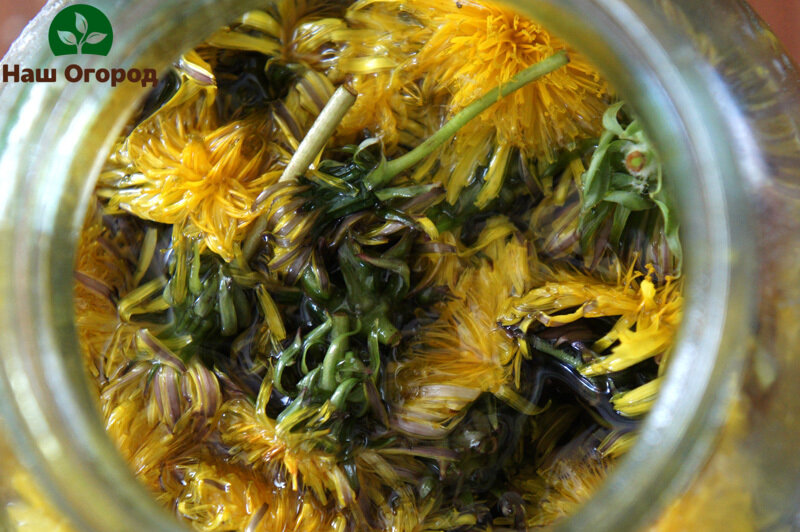 Делайте профилактику регулярно, грамотный уход - залог удачного урожая.