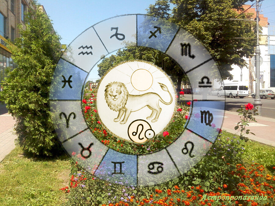 Коллаж Нины Стрелковой.