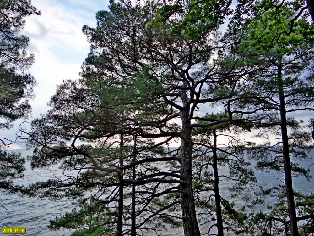 Агрийский заказник