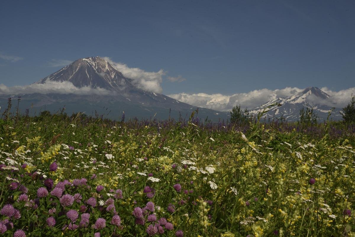 АВТОР СТАТЬИ: АЛЕКСЕЙ ШАСКОЛЬСКИЙ