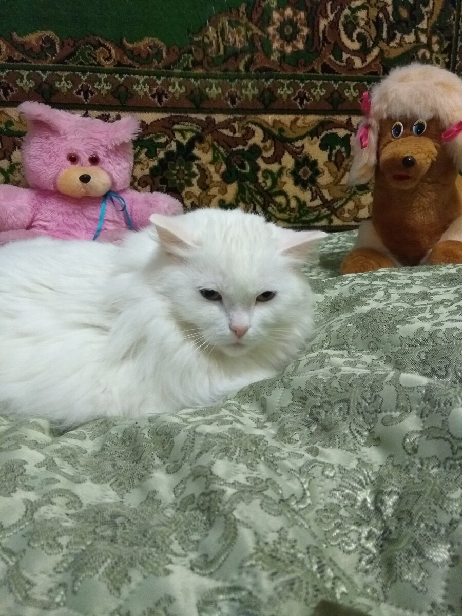 Вот она лежит, колбаса деловая)) 