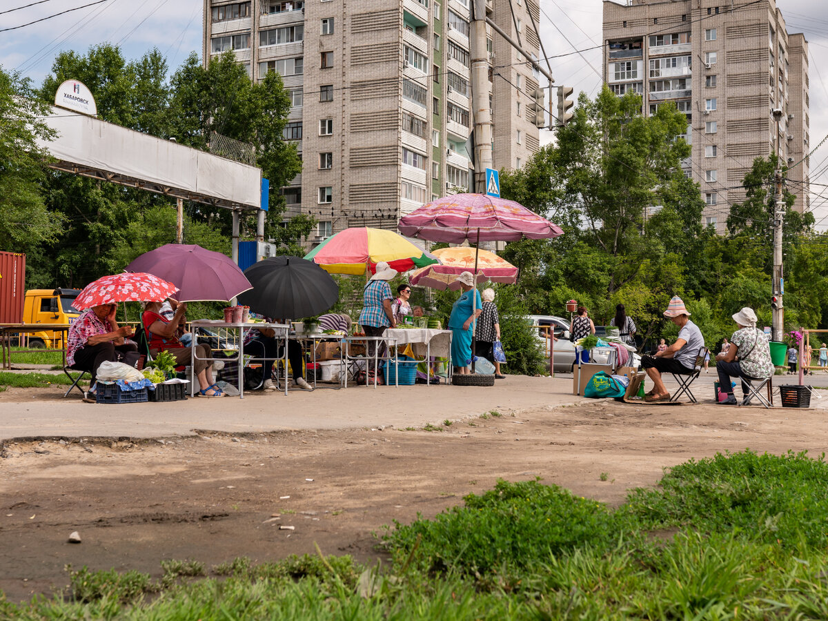 Население хабаровска