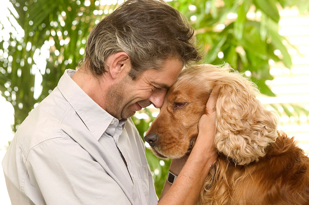 Почему собаки верны человеку. Собака друг человека. Человек с собакой. Животные друзья человека. Любовь собаки к человеку.