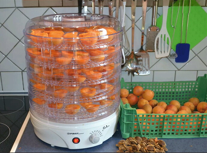 хорошая вещь! можно сушить все, что растет - ягоды, фрукты, зелень, солод!