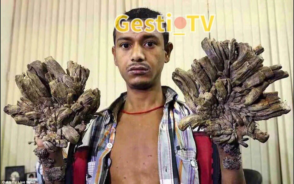 Яндекс картинки