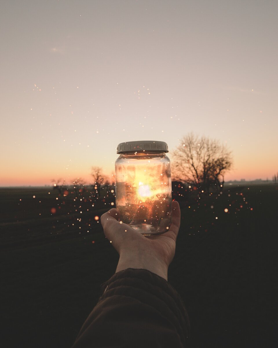 Фото взято из открытого источника. Сайт www.unsplash.com