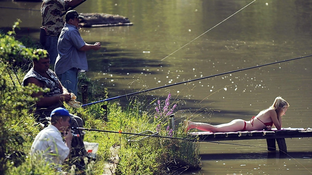 Картинка взята из открытых источников (с) Из сети