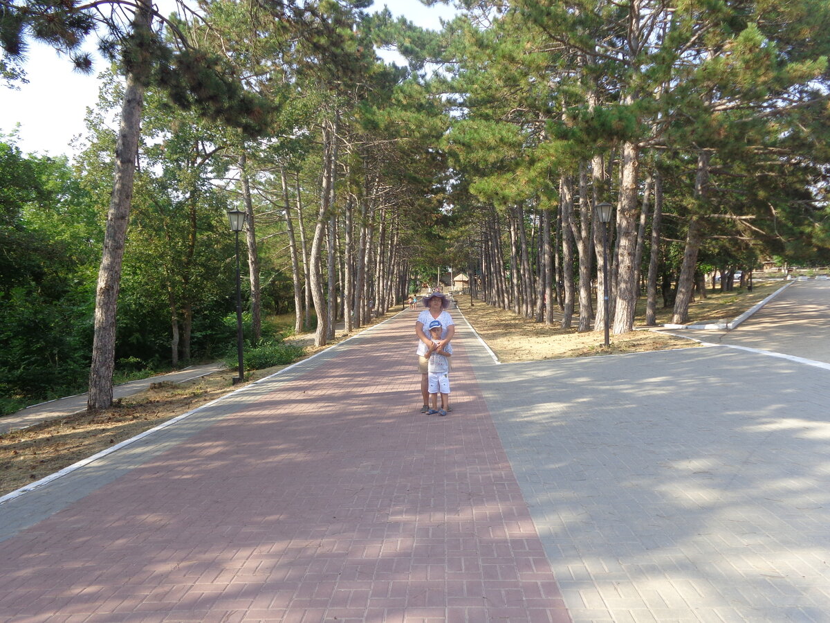 Аллеи мемориального комплекса, 2015г