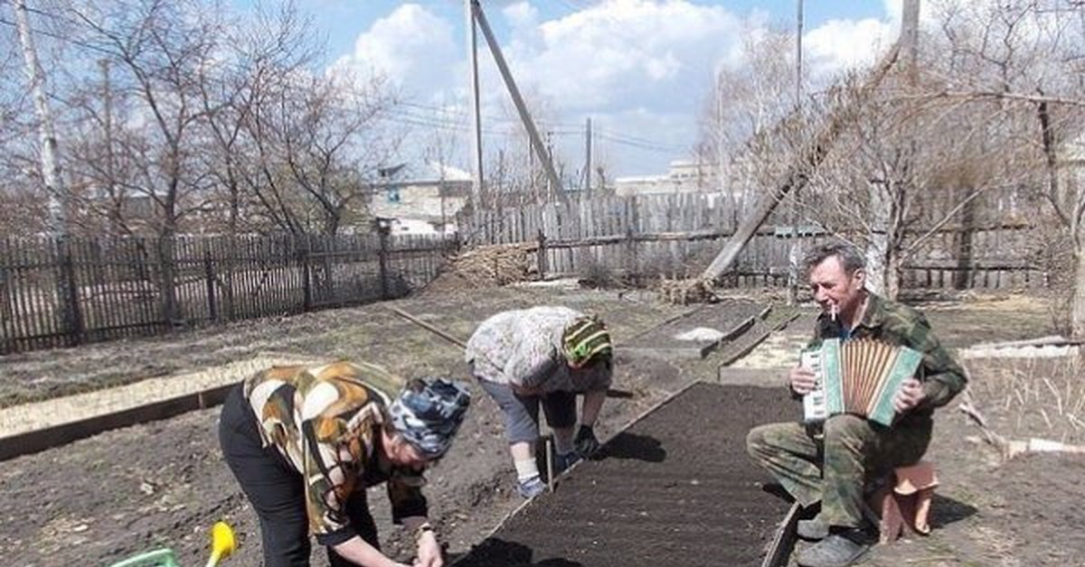 Ручной монотонный труд на даче препятствует свободному всестороннему развитию человека