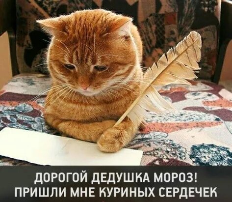 фото использовано в качестве иллюстрации. Источник "Яндекс.Картинки"