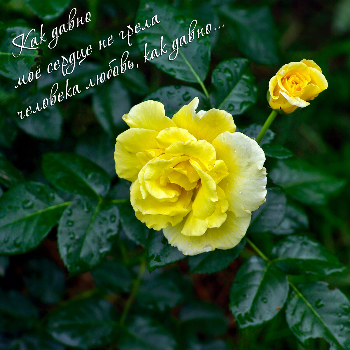 Фотография А.Л., Хабаровск