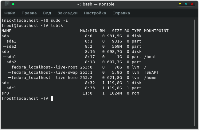 Окно терминала, содержащая информацию о всех имеющихся в настоящее время устройств хранения