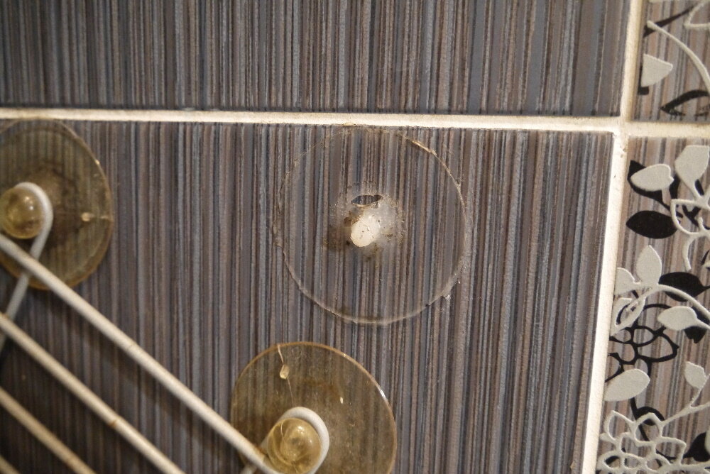 Как вешать полочку на присосках