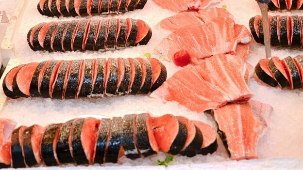 Красная рыба: правила приготовления семги, горбуши, форели и других видов деликатеса