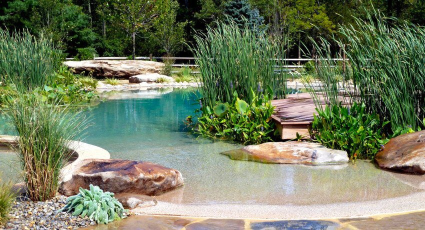 Как сделать пруд своими руками на даче