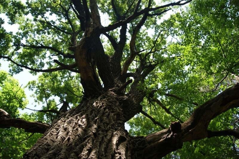 Фото из интернета