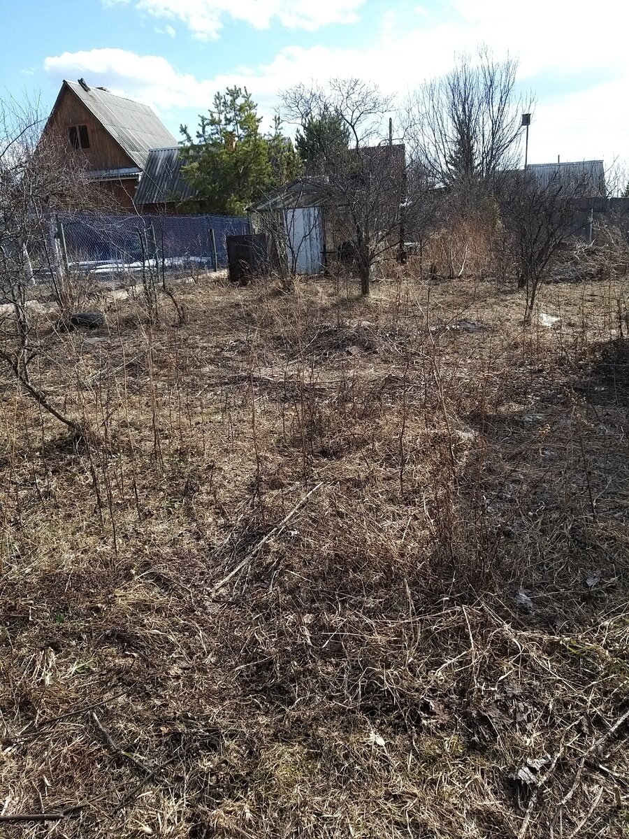 Фото сделано  11.04.2020 