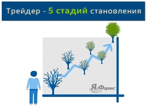 Фундамент прибыльной торговли на forex