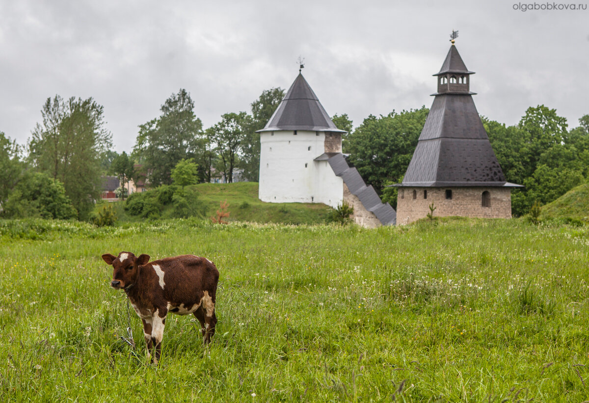 Со всех сторон красива монастырская земля. Любо-дорого гулять тут