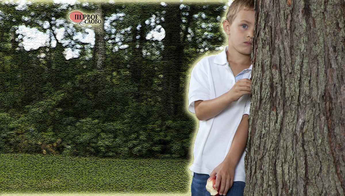 Яндекс Картинки