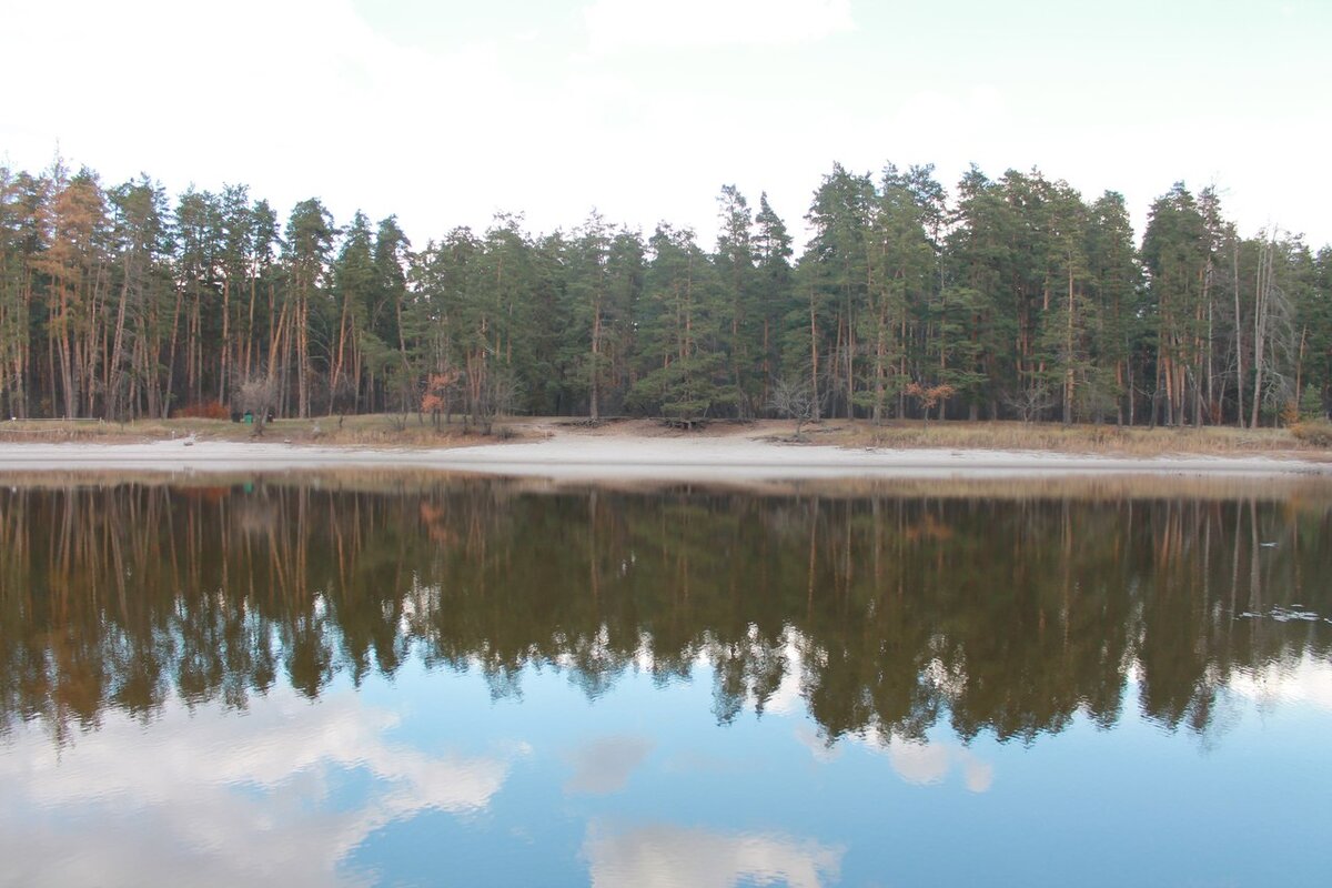 Небольшое лесное озеро в близи от поселка. Реки и другие водоемы неблизко. Нужно разбираться как поймать тут. Фото автора.