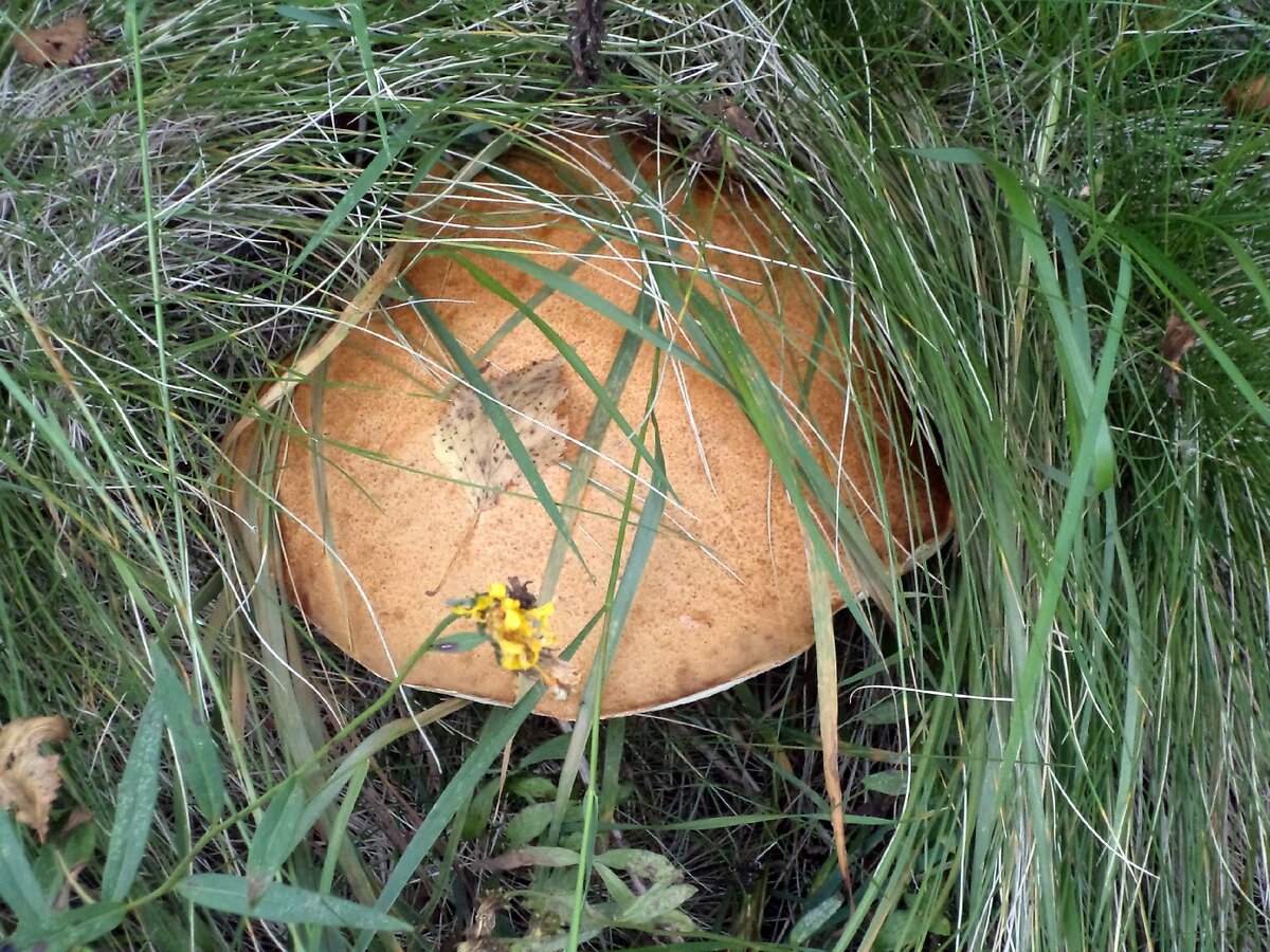 Фото из личного архива 