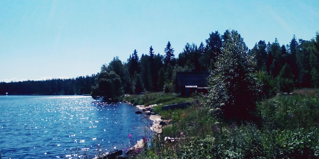 Мне кажется, одно из самых гармоничных мест на Земле. Онега. Карелия. 