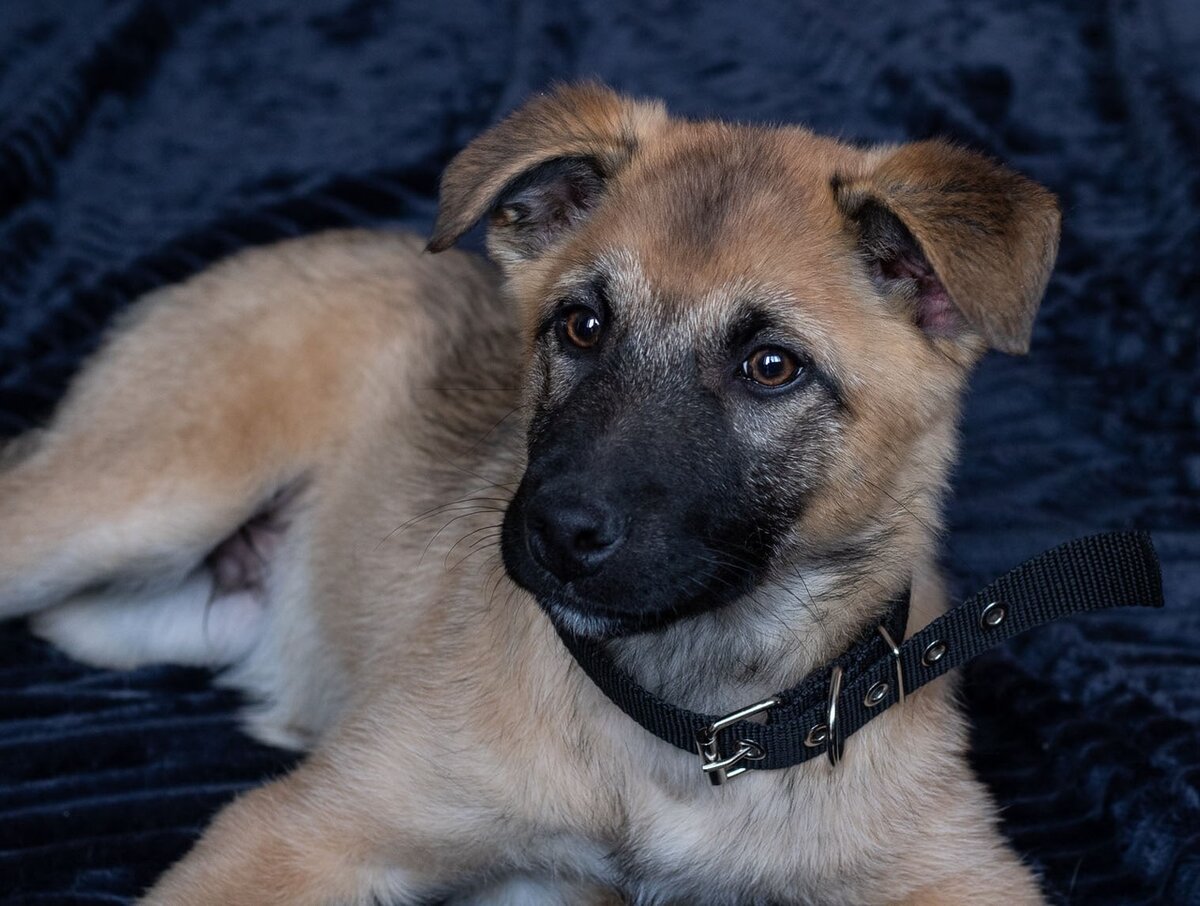 Наш любимый Марс