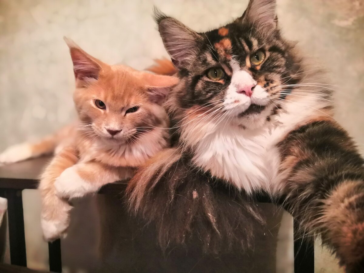 Мы делаем это лучше, чем другие