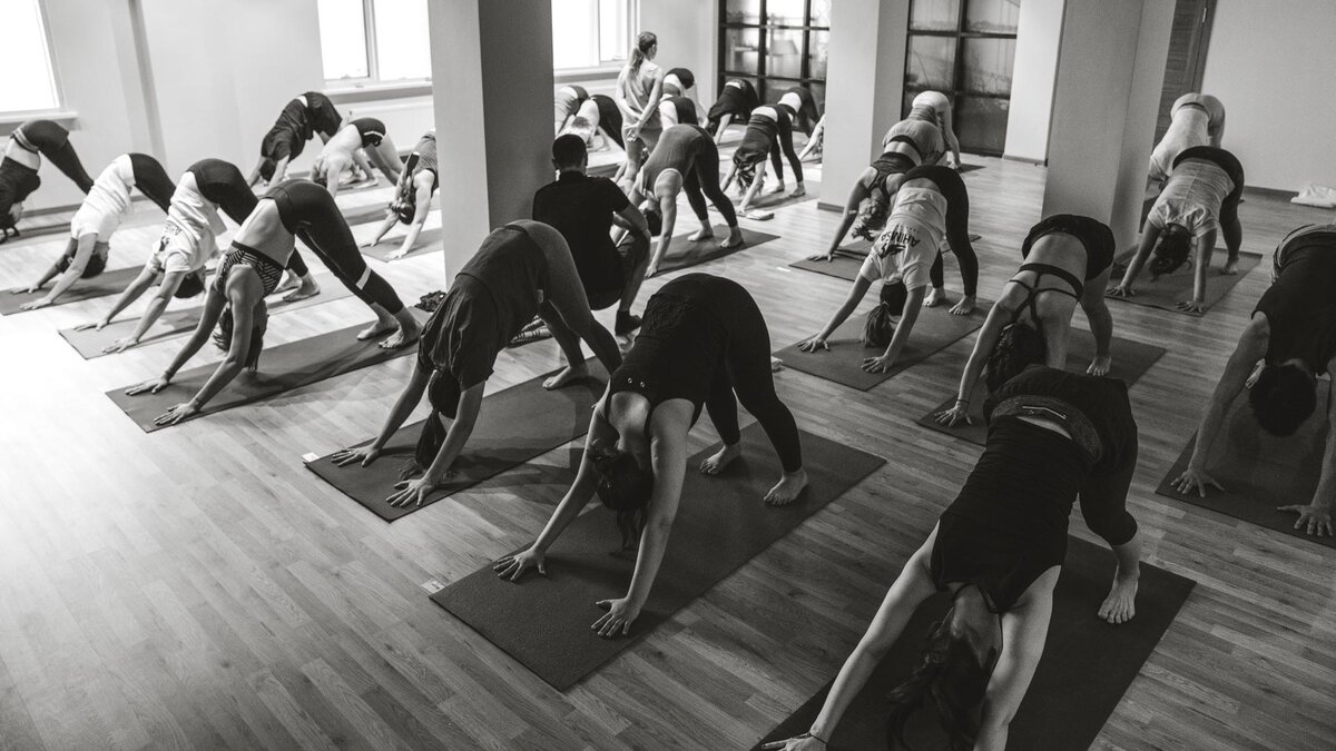 Источник фото: http://ahimsa.kz/цены/