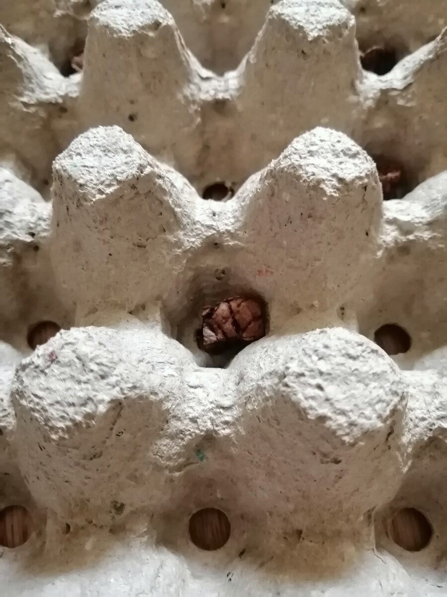 Фото из личного архива