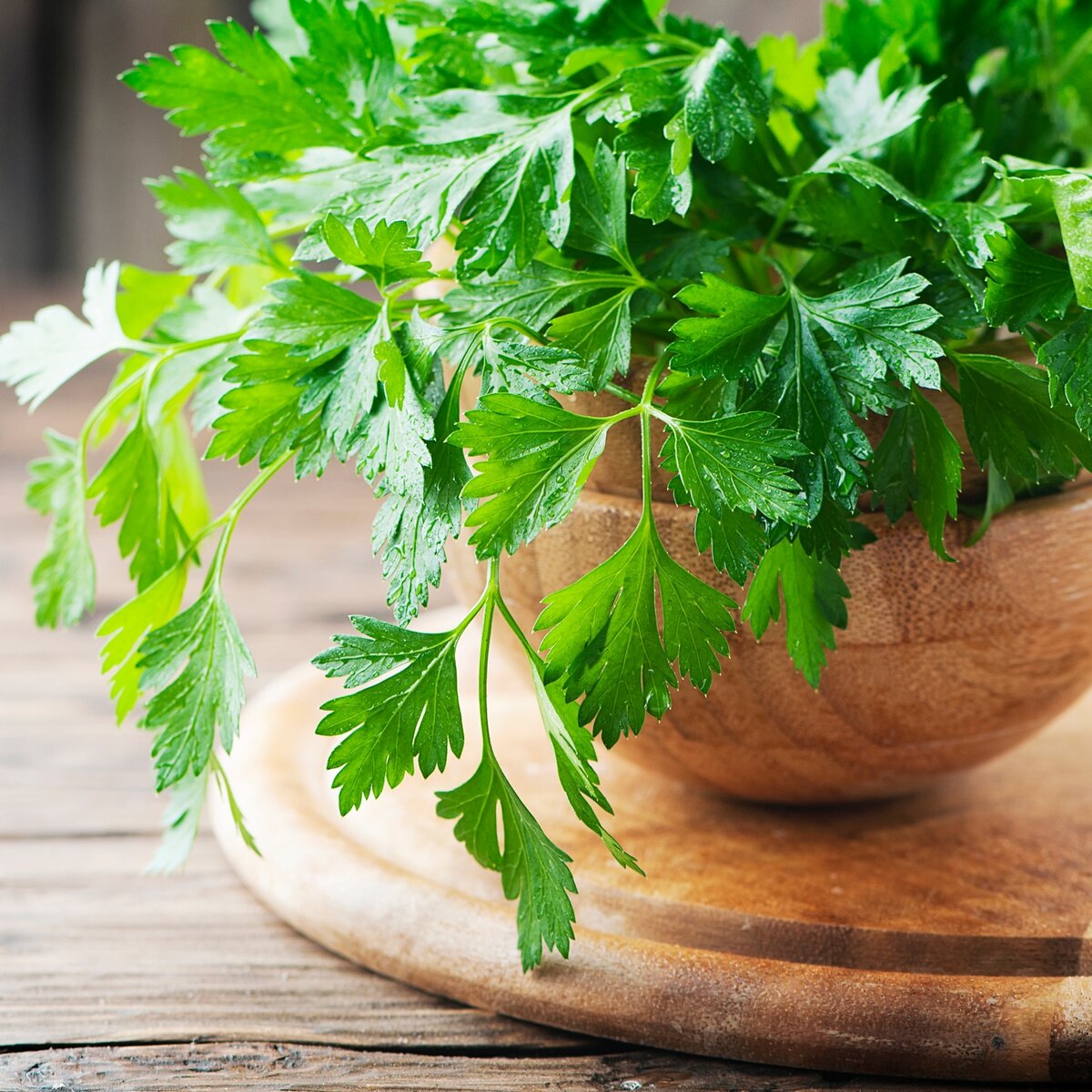 фото depositphotos.com