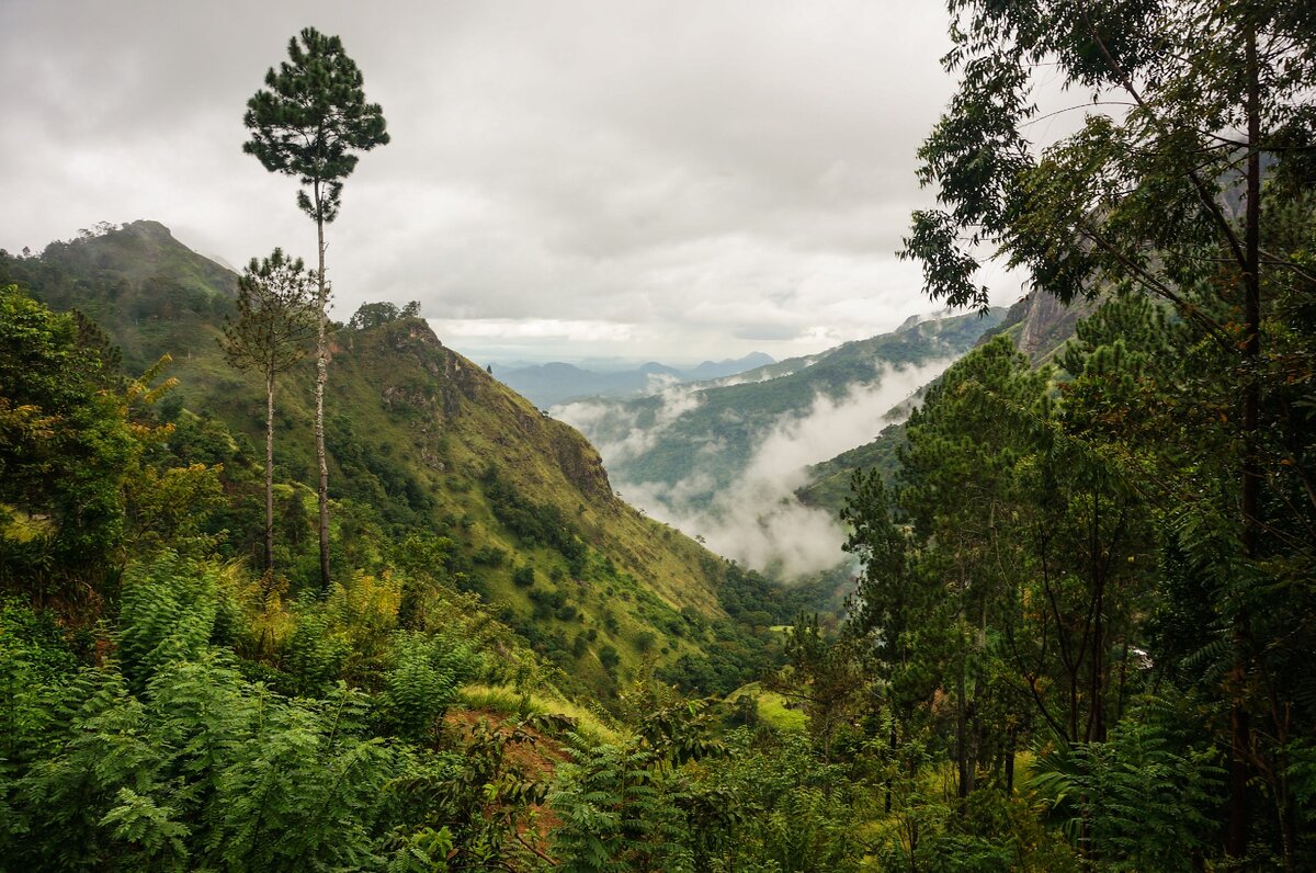 центральные нагорья. центральные нагорья. центральные нагорья. хайландс исландия. климат столицы шри-ланки.