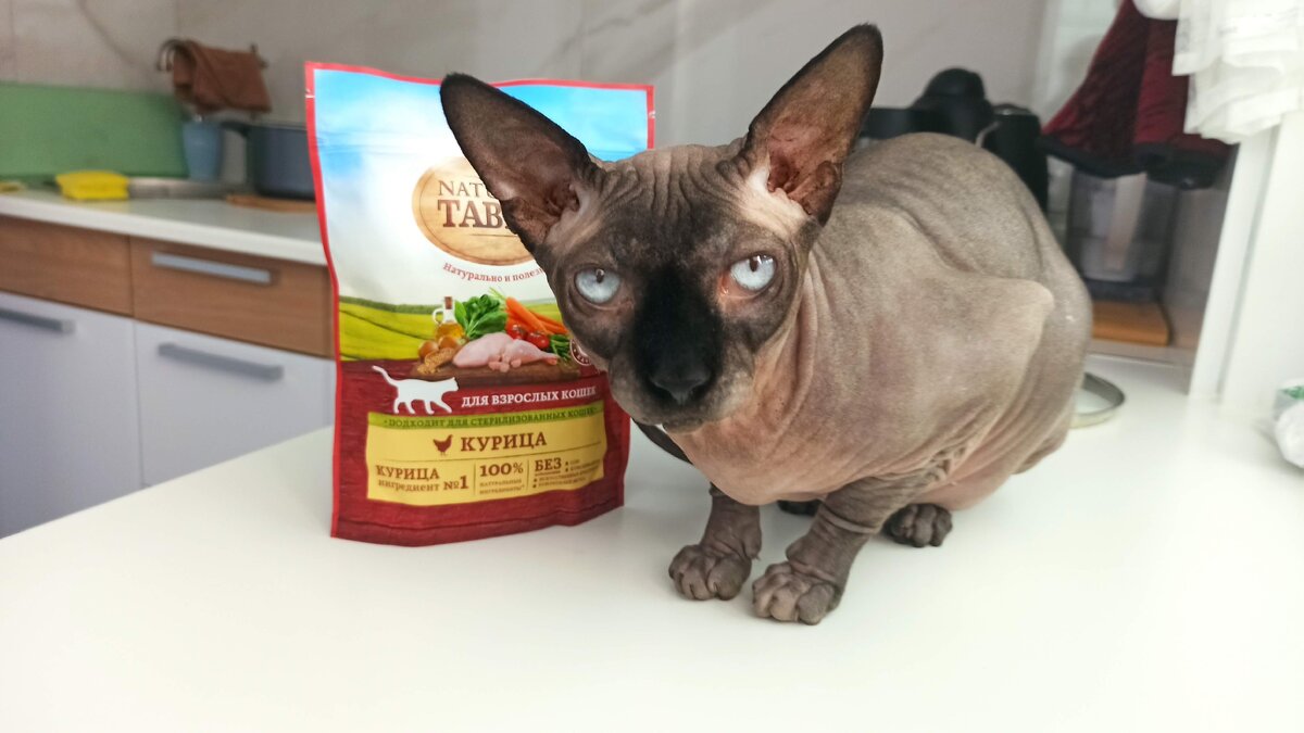 "Кот говорит: - покупай, не важно что, главное побольше!"