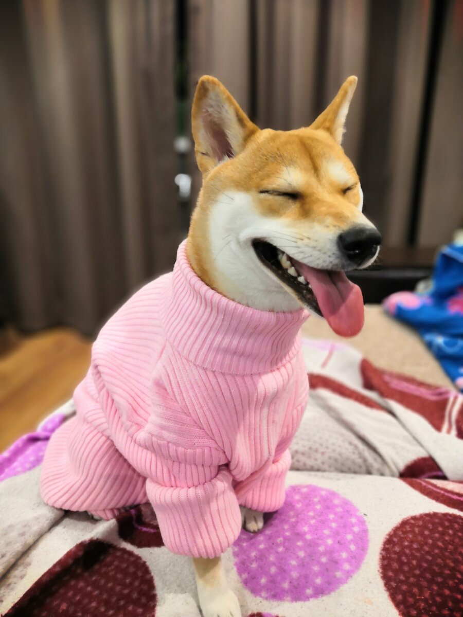 Но есть я ее не стал... 