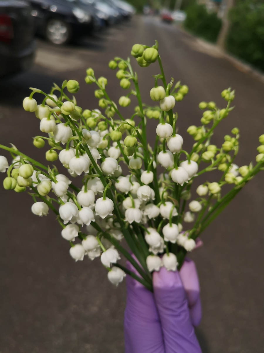 #алина116стихи