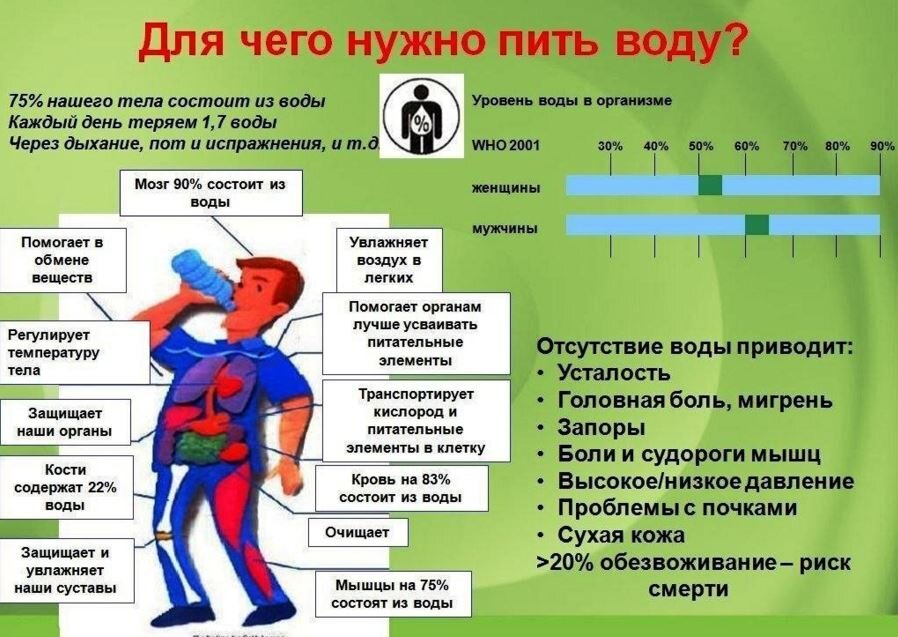 Пей и худей. Как водный баланс помогает сбросить вес?