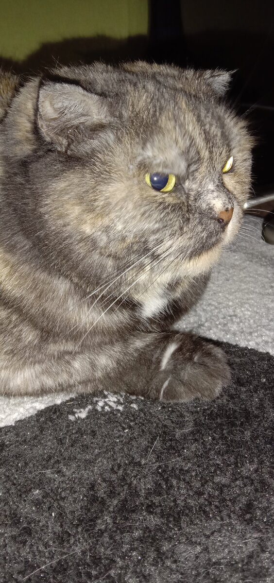 Фото автора. Жду