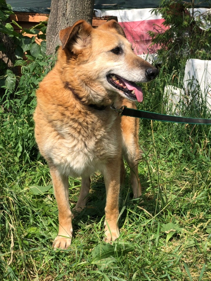 Боня осторожничала, поглядывая на нас по привычке издалека