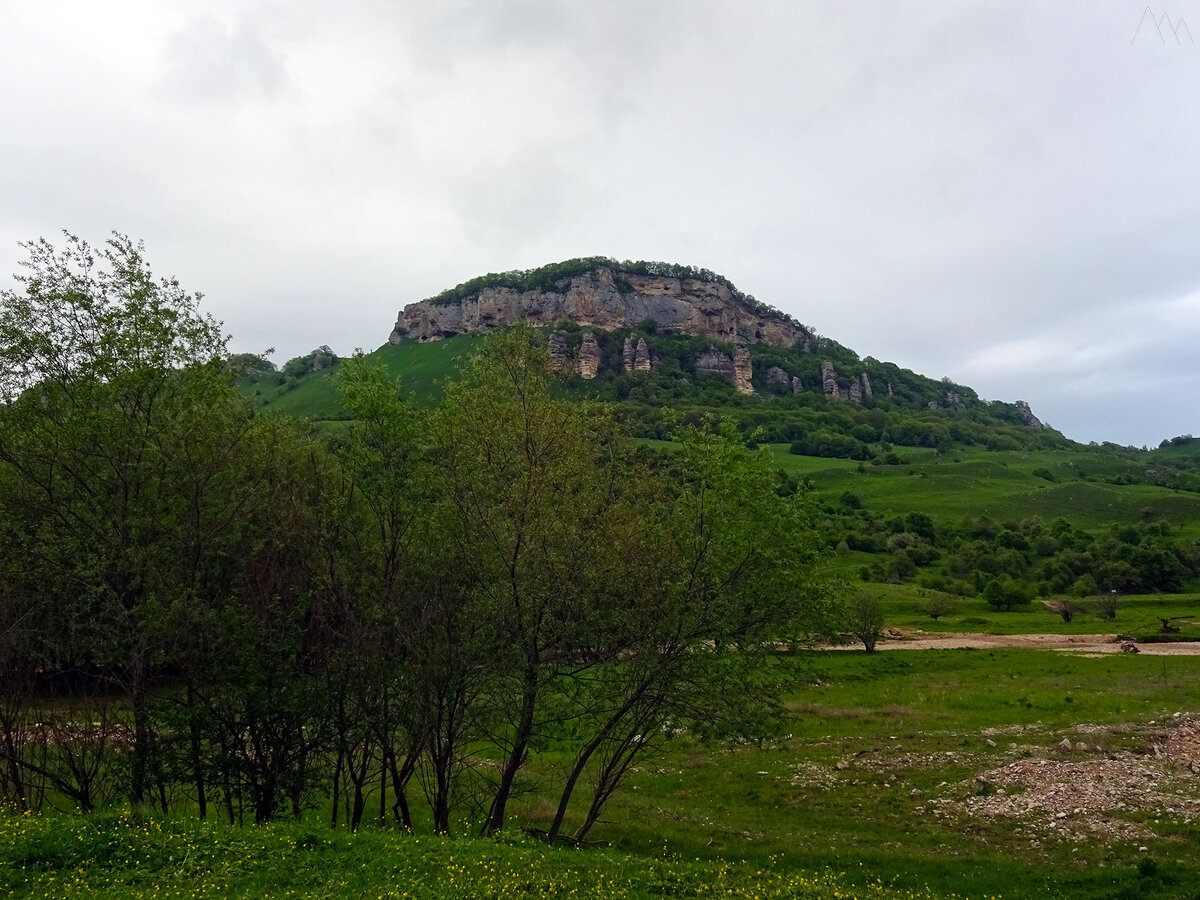 Герпегем псебай фото