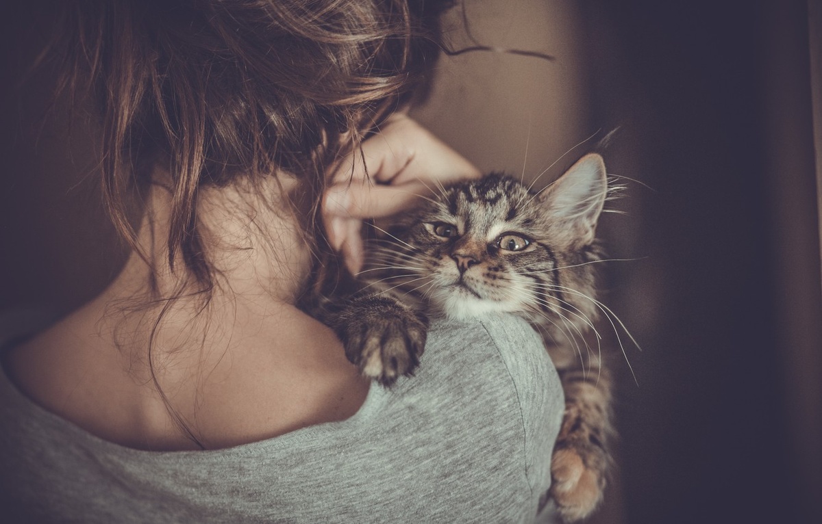 Ведьм отличает любовь ко всему живому, в том числе и к животным.