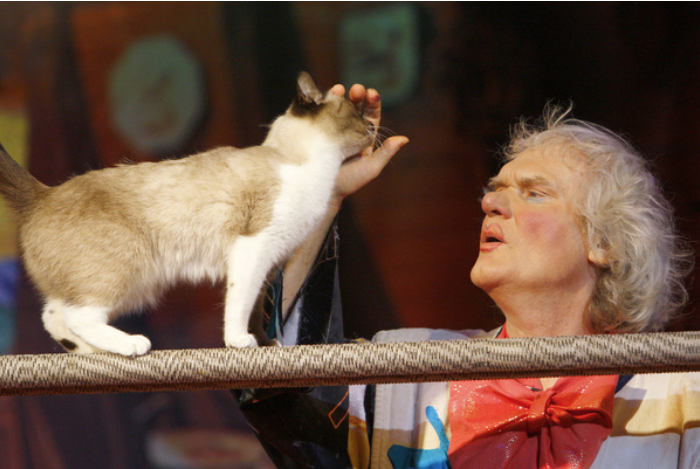 Фото взято из интернета