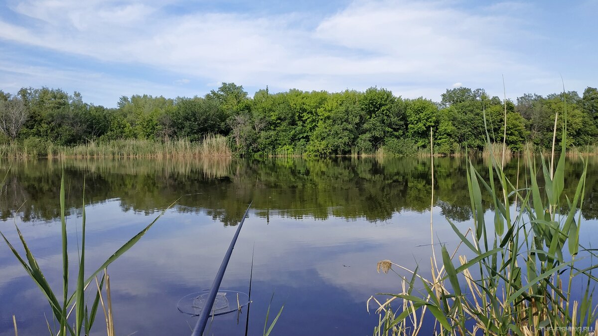 На рыбалке с поплавком