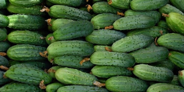 Вы будете в восторге от такой незатейливой подкормки