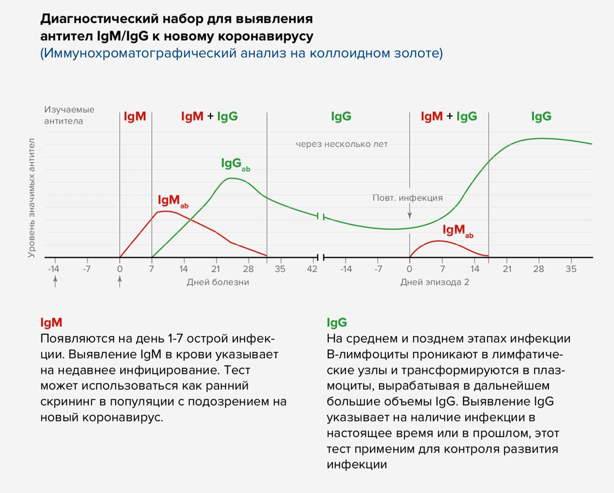 Антитела к коронавирусу IGM И IGG