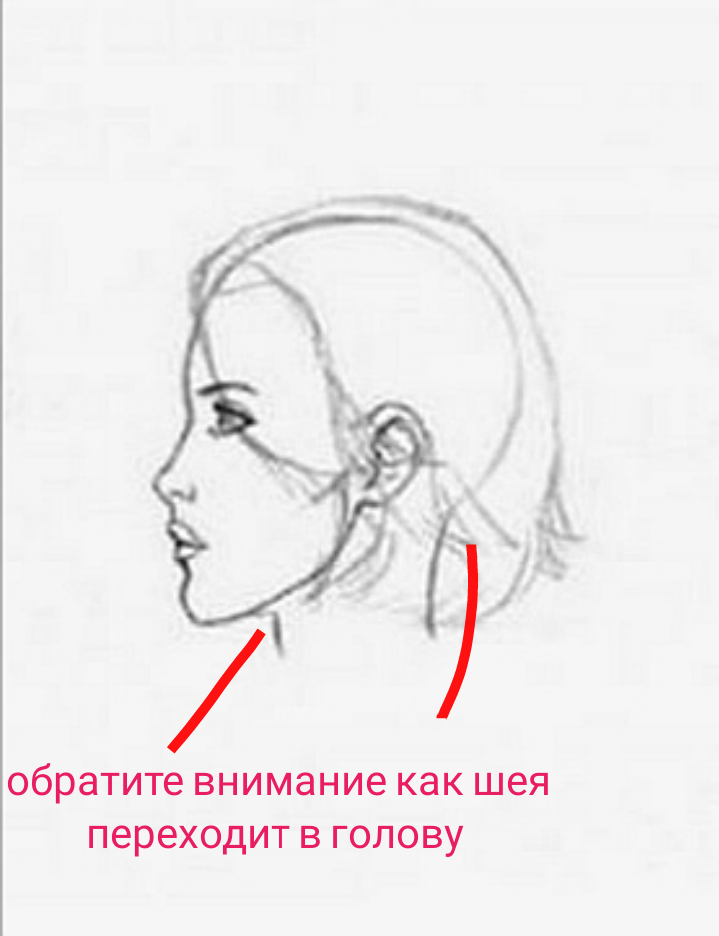 Раскраски онлайн скачать и распечатать в формате А4 Человек Паук