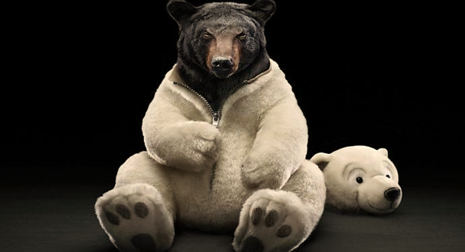 Похожая метафора 