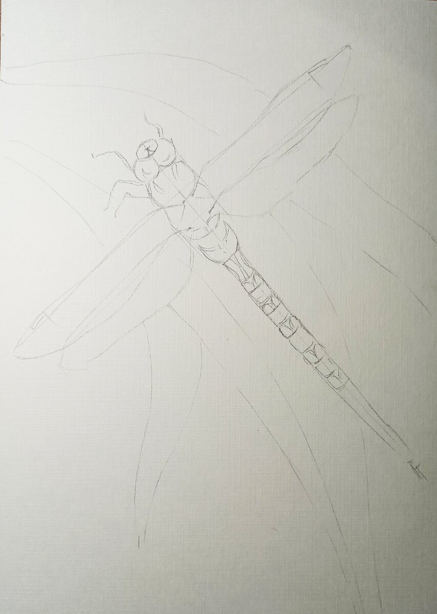 На предварительном "чертеже", делаем более детальную прорисовку.