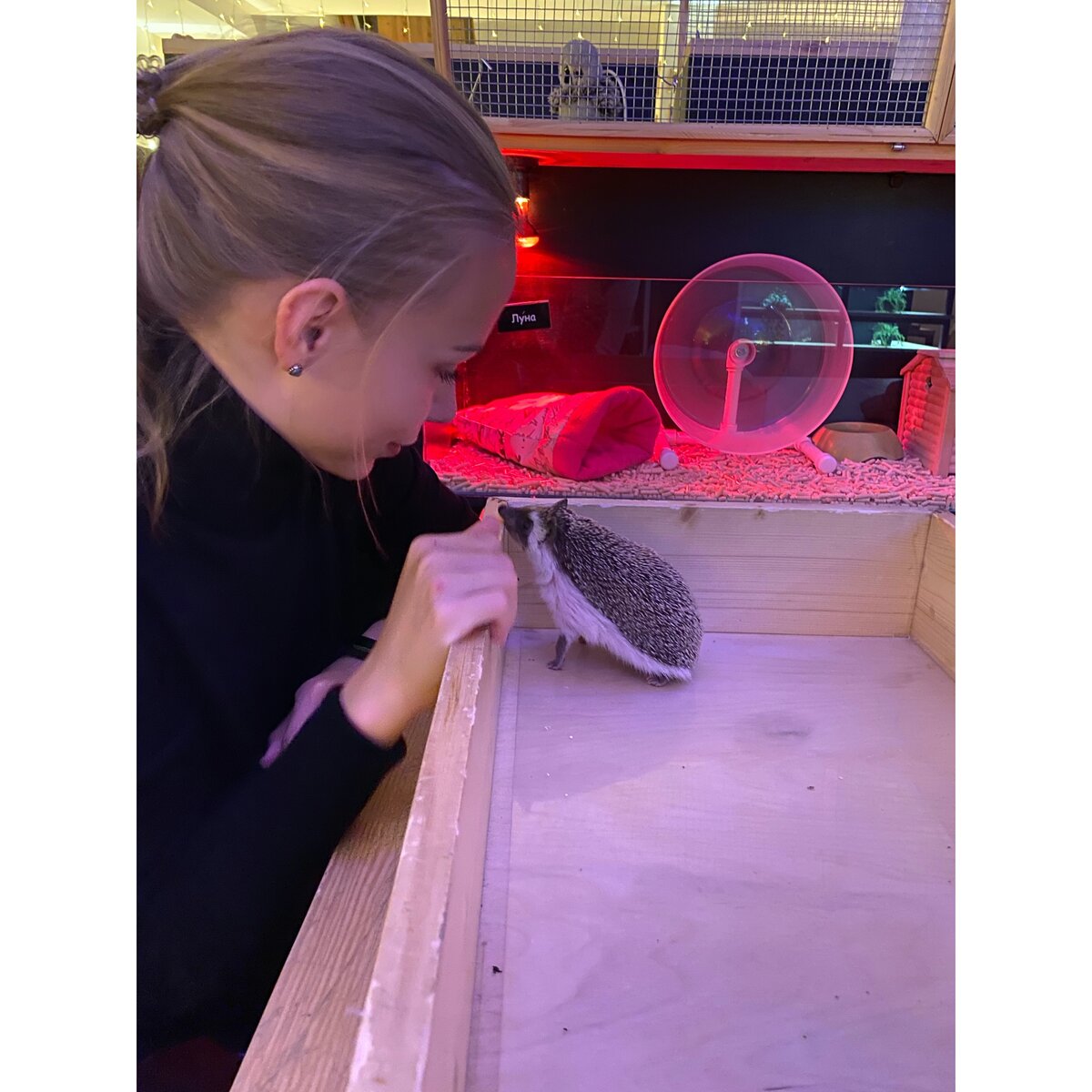 Мне очень понравилось общаться с ежиками...