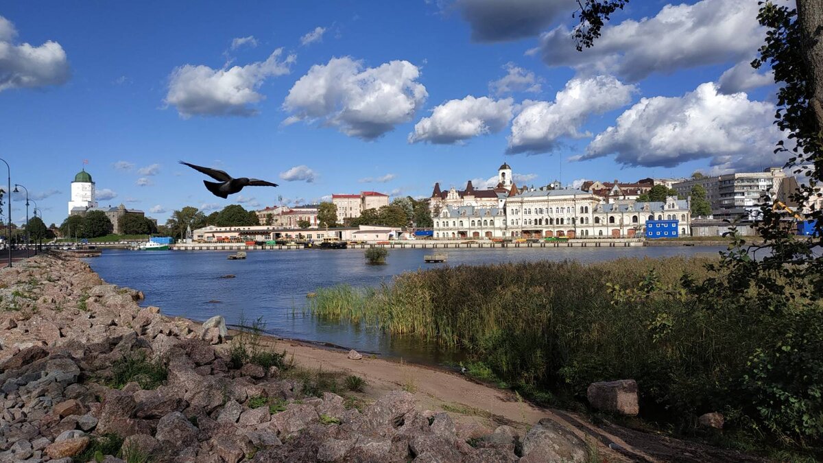 Набережная, вид на город Выборг. Фото из личного архива